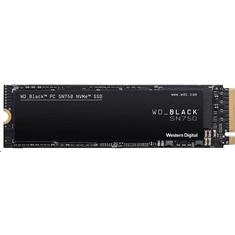 Black SN750 2TB M.2 NVMe (WDS200T3X0C)