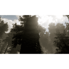 The Woods: VR Escape the Room (PC Steam elektronikus játék licensz)
