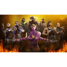 Warner Bros Mortal Kombat 11 ULTIMATE Edition (Xbox One - Dobozos játék)