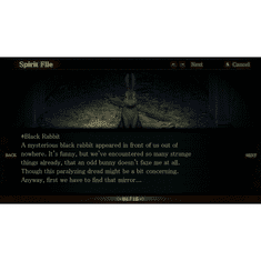 Aksys Games Spirit Hunter: Death Mark (PC - Steam elektronikus játék licensz)