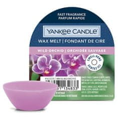Yankee Candle Vonný vosk , Divoká orchidej, 22 g