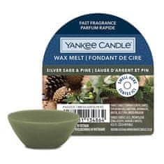 Yankee Candle Vonný vosk , Stříbrná šalvěj a borovice, 22 g