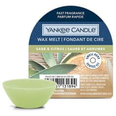 Yankee Candle Vonný vosk , Šalvěj a citrus, 22 g