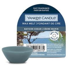 Yankee Candle Vonný vosk , Pobřežní cedr, 22 g