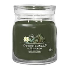 Yankee Candle Svíčka ve skleněné dóze , Stříbrná šalvěj a borovice, 368 g