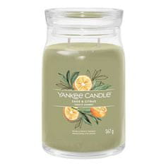 Yankee Candle Svíčka ve skleněné dóze , Šalvěj a citrus, 567 g