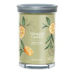 Yankee Candle Svíčka ve skleněném válci , Šalvěj a citrus, 567 g