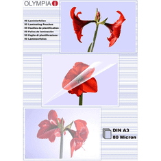 Olympia Laminierfolien DIN A3, 25 Stück 80 mic (9180)