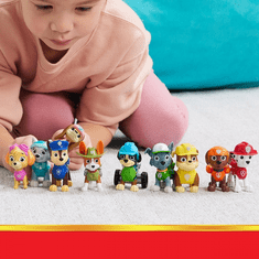 Spin Master PAW Patrol PAW FIG All Paws Gift Pack GML (6065255)