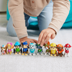 Spin Master PAW Patrol PAW FIG All Paws Gift Pack GML (6065255)