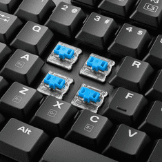 Sharkoon PureWriter TKL RGB Kailh Blue Gaming Mechanikus Billentyűzet US - Fekete (4044951021529)
