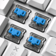 Sharkoon PureWriter RGB Mechanikus (Kailh Blue) USB Gaming Billentyűzet - Angol (US) - Fehér (4044951034277)