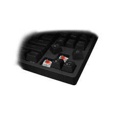 White Shark herní mechanická klávesnice KODACHI ,US layout,červený switch, černá (ESL-K1) (KODACHI-US)