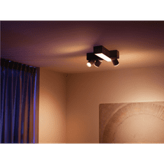 PHILIPS Hue White and colour ambience 5060830P7 Intelligens világítás spot Bluetooth/Zigbee Fekete 25 W (915005928501)