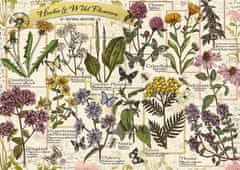 Trefl Puzzle Herbárium: Gyógynövények 500 db