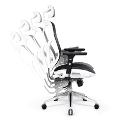 Diablo Chairs Diablo V-Basic Gamer szék - Fekete/Fehér (V-BASICBIACZ)