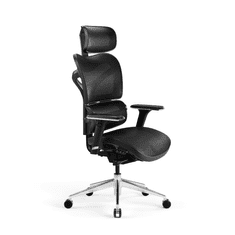 Diablo Chairs V-Commander Gamer szék - Fekete (V-COMMANDERBIACZ)