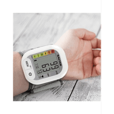 BPW-9101 Vérnyomásmérő (BPW-9101)