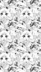 COLORAY.HU Ablak árnyékoló Húzott macskák Redőny fényerő 80x140 cm