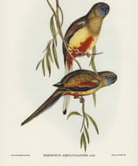 COLORAY.HU Ablak árnyékoló Két madár egy ágon Sötétítő redőny (gumi bevonattal) 150x180 cm