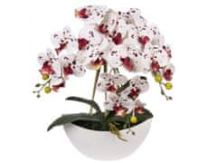 sarcia.eu Mesterséges orchidea cserépben, fehér és bordó, élethű, 3 hajtás 53 cm