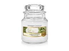 Yankee Candle Camellia Blossom gyertya 104g
