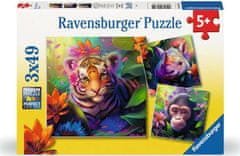 Ravensburger Jungle Cubs puzzle 3x49 darabos puzzle