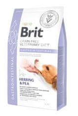 Brit VD Dog GF Gastrointestinalis 2kg