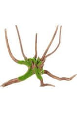Zolux Akvárium dekoráció Kipouss Spider gyökér M
