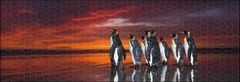 Heye Királyi pingvinek panorámapuzzle 1000 db