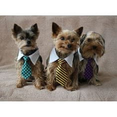 Gentledog nyakkendő kutyáknak fekete-fehér ruházat méret S