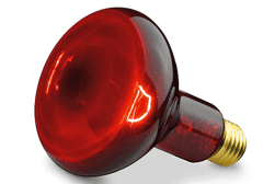 BEURER BEU-INFRA100W izzó infravörös lámpához