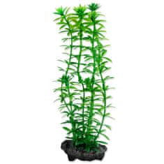 Tetra Dekorációs Növény Anacharis S 15cm
