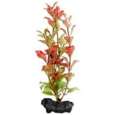 Tetra Dekorációs Növény Vörös Ludwigia S 15cm