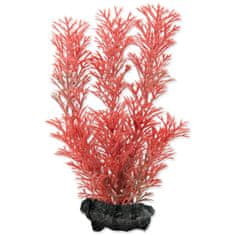 Tetra Dekoráció Növény Foxtail Red S 15cm
