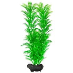 Tetra Dekorációs Növény Zöld Cabomba M 23cm
