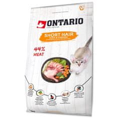 Ontario rövidszőrű macska 2kg
