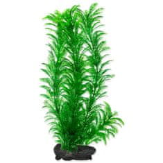 Tetra Dekorációs Növény Zöld Cabomba L 30cm