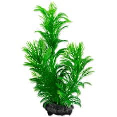 Tetra Dekorációs Növény Zöld Cabomba S 15cm