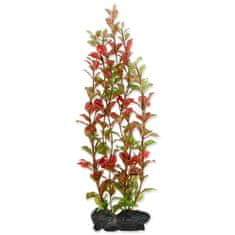Tetra Dekorációs Növény Vörös Ludwigia L 30cm