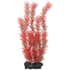 Tetra Dekoráció Növény Foxtail Red L 30cm