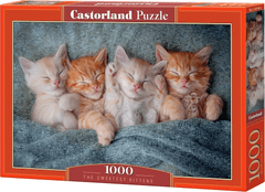 Castorland Puzzle Édes cicák 1000 darab