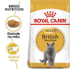 Royal Canin British Shorthair macskaeldel száraztáp, 2 kg