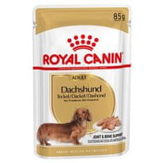 Royal Canin Tacskó nedves kutyaeledel, 12 x 85 g