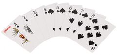Teddies Póker készlet 100db + kártyák + dobókockák tokban