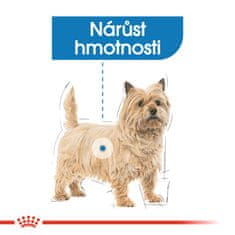 Royal Canin Mini Light Weight Care, 1 kg