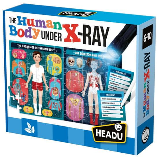 Headu HEADU: Az emberi test röntgenfelvételen