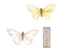 LAALU.cz 6 darabos díszítő készlet: pillangók fehér-sárga mix 10 cm