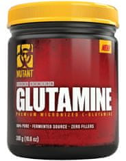 Core Series Glutamine 300 g