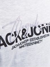 Jack&Jones Férfi póló JORARUBA Standard Fit 12255452 Bright White (Méret XXL)